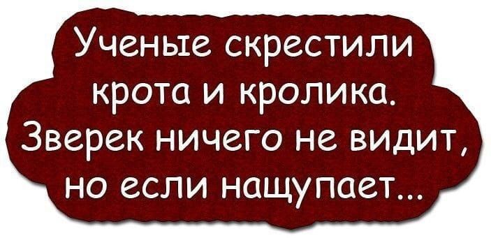 Ученые скрестили крота и кролика Зверек НИЧВГО НЗ ВИДИТ но если НОЩУПОСТ