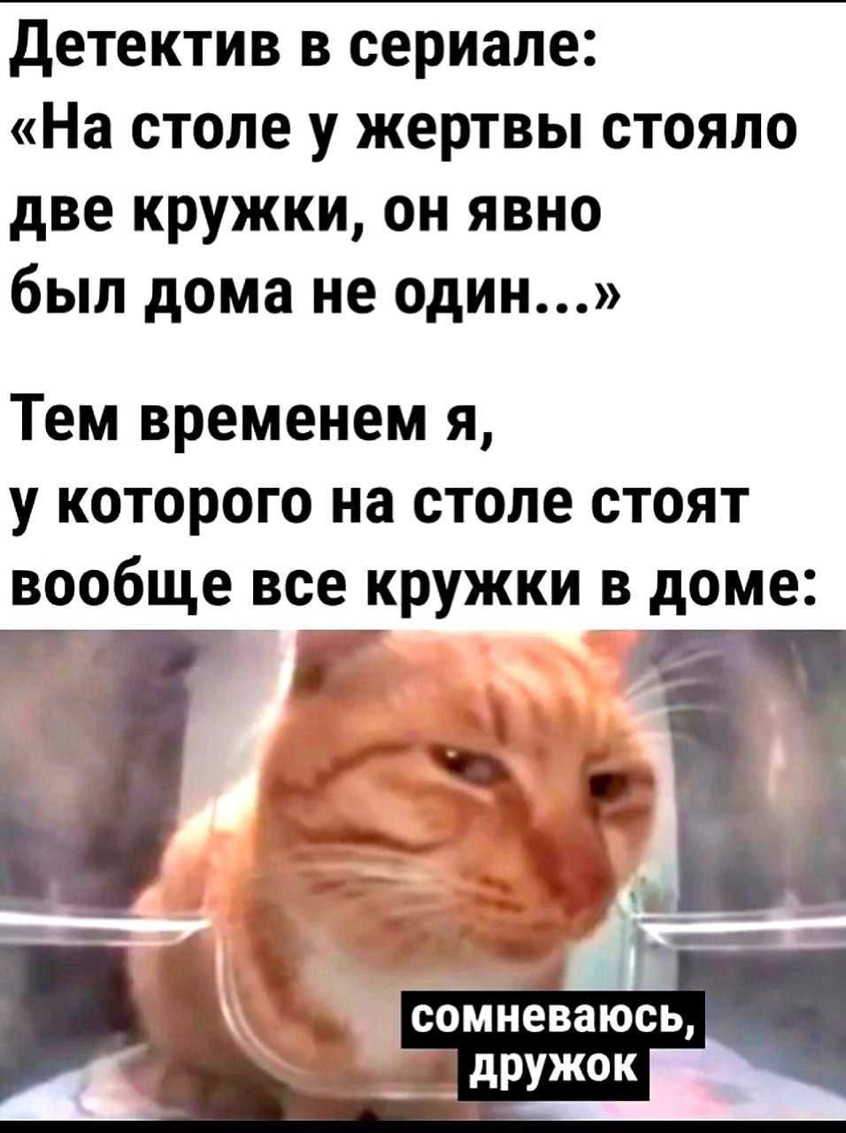 Детектив в сериале На столе у жертвы стояло две кружки он явно был дома не один Тем временем я у которого на столе стоят вообще все кружки в доме _ _ дружок да