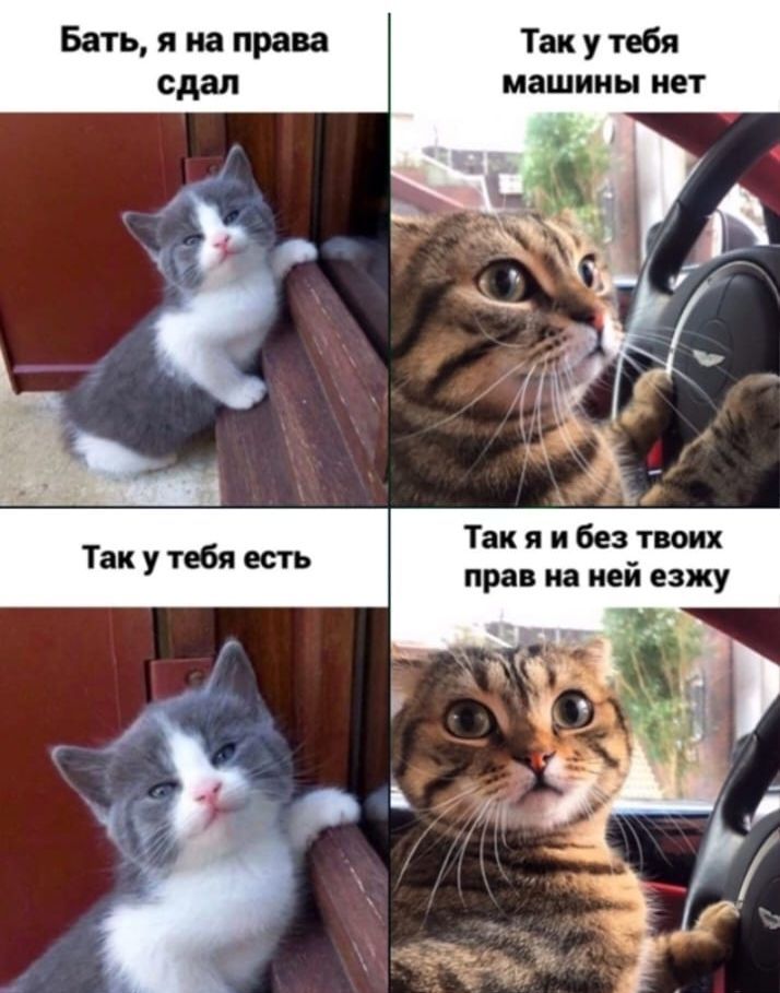 Так у тебя машины нет прав на ней езжу