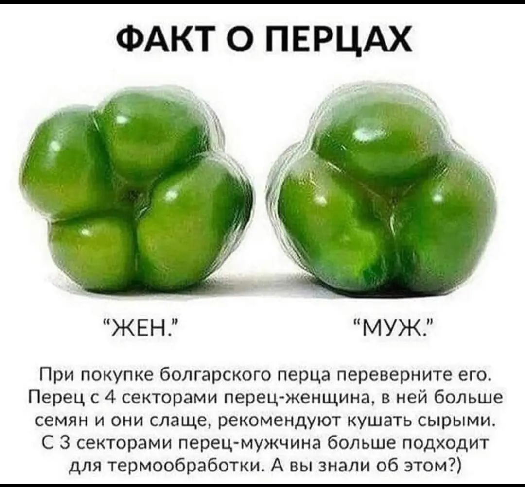 ФАКТ О ПЕРЦАХ
