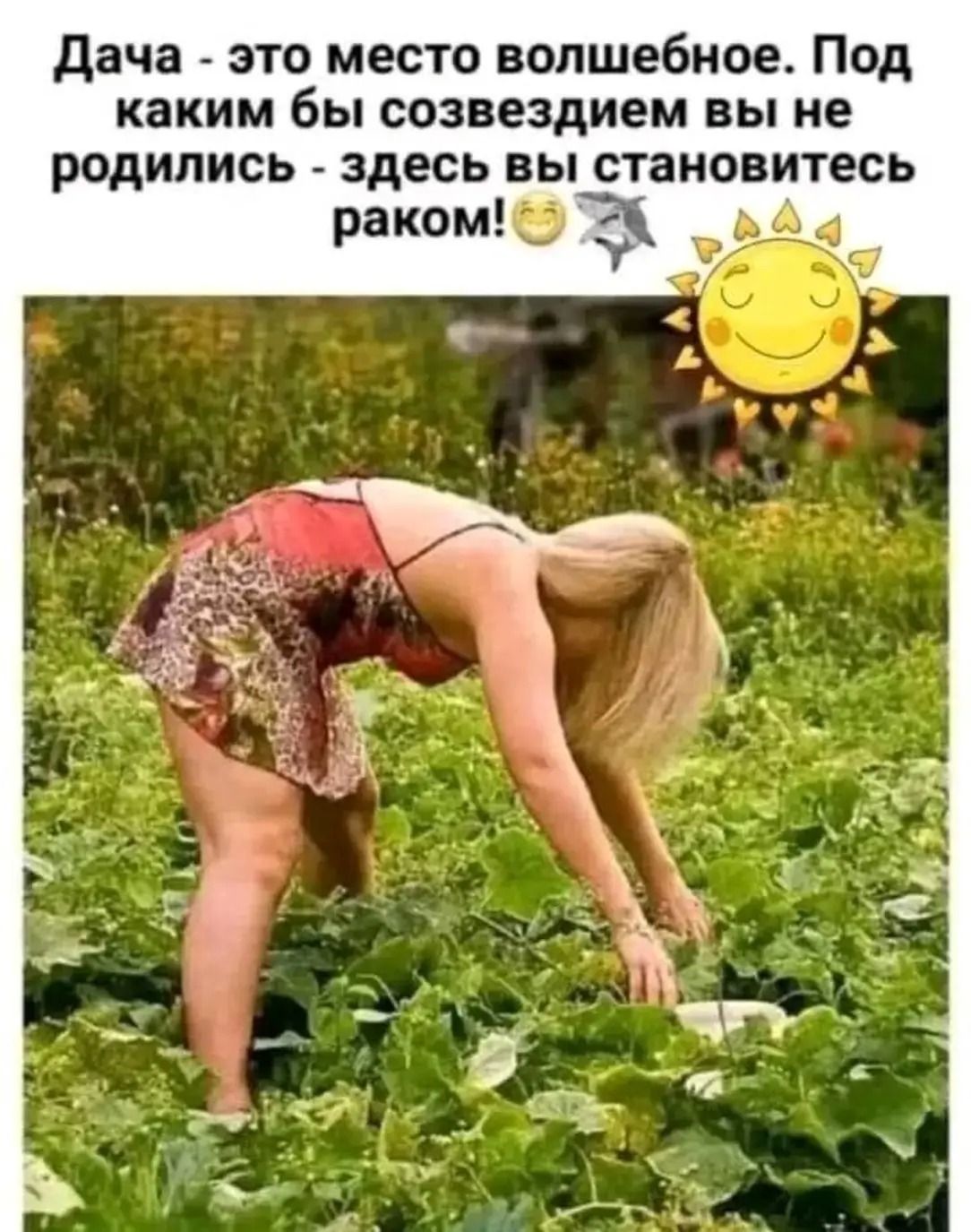 Дача - это место волшебное. Под каким бы созвездием вы не родились - здесь вы становитесь раком!