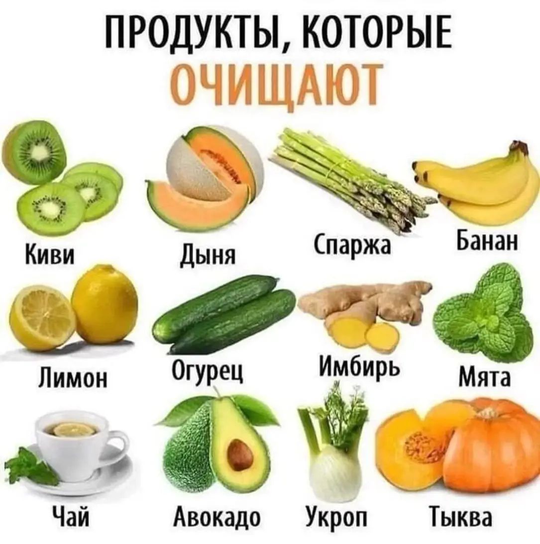 ПРОДУКТЫ, КОТОРЫЕ ОЧИЩАЮТ
Киви
Дыня
Спаржа
Банан
Лимон
Огурец
Имбирь
Мята
Чай
Авокадо
Укроп
Тыква