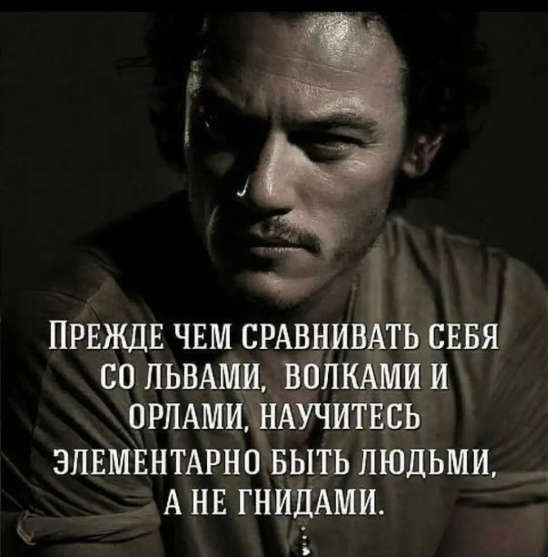 Прежде чем сравнивать себя со львами, волками и орлами, научитесь элементарно быть людьми, а не гнидами.
