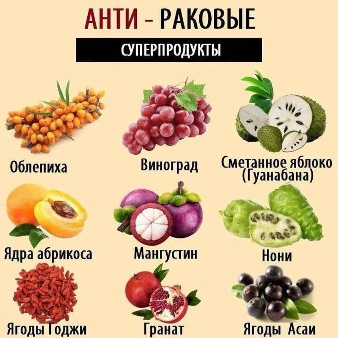 АНТИ - РАКОВЫЕ СУПЕРПРОДУКТЫ
Облепиха
Виноград
Сметанное яблоко (Гуанабана)
Ядра абрикоса
Мангустин
Нони
Гранат
Ягоды Годжи
Ягоды Асаи