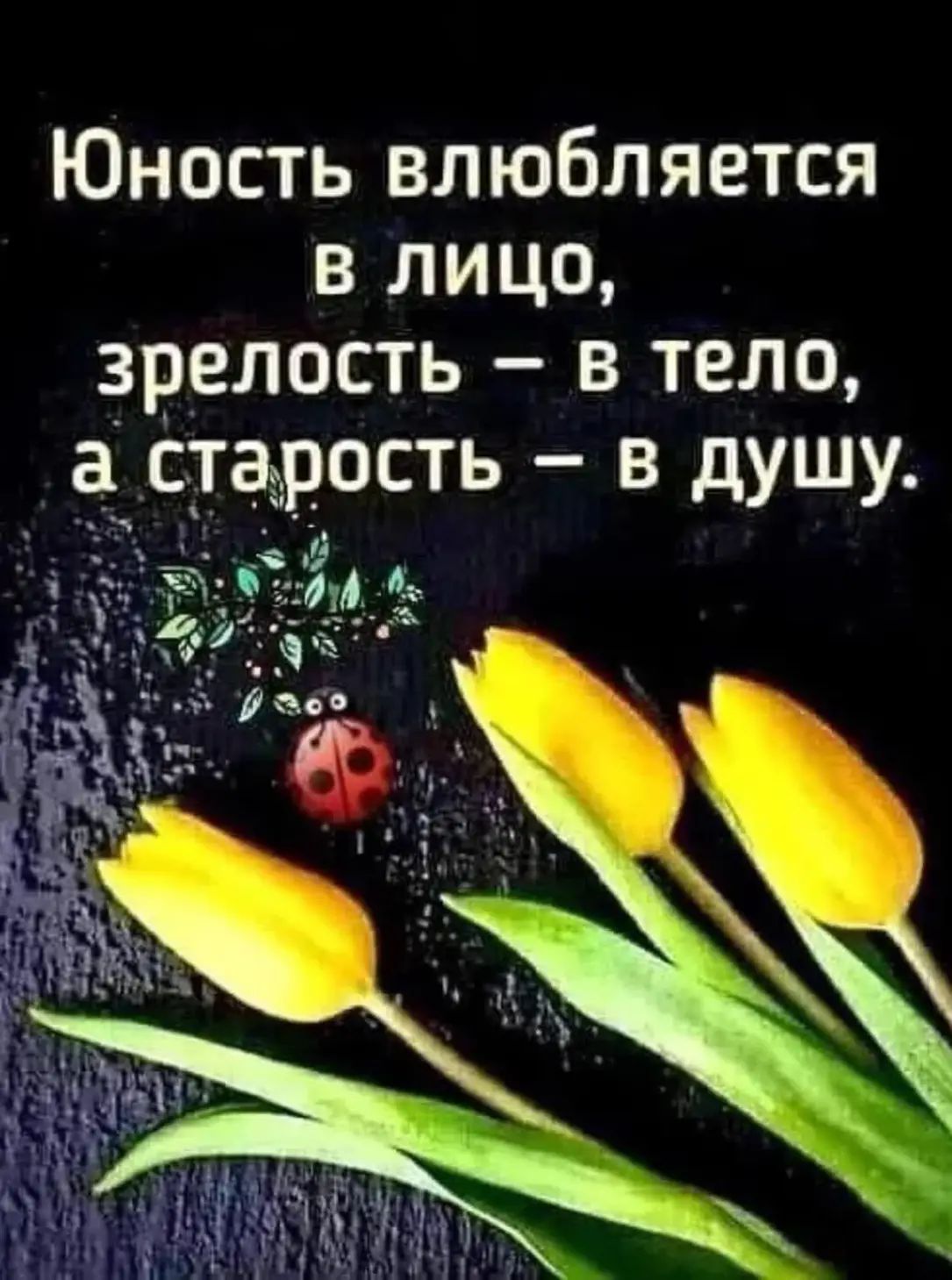 Юность влюбляется в лицо, зрелость – в тело, а старость – в душу.