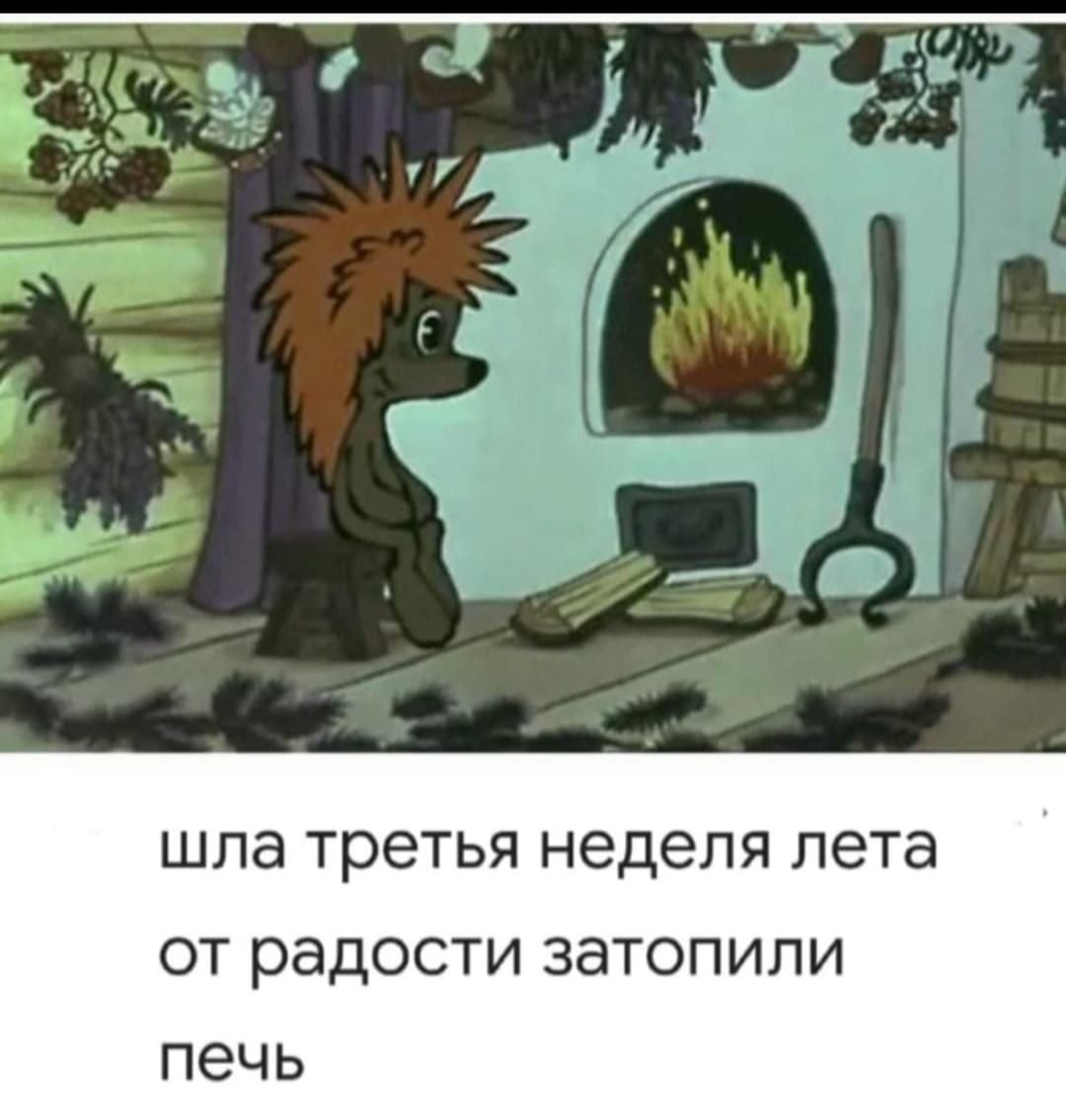 шла третья неделя лета от радости затопили печь