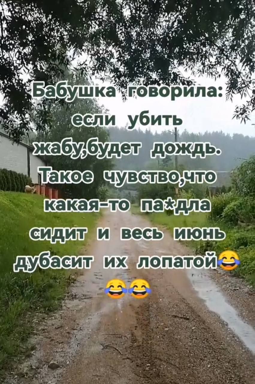 Бабушка говорила: если убить жабу, будет дождь. Такое чувство, что какая-то па*да сидит и весь июнь дубасит их лопатой😂😂
