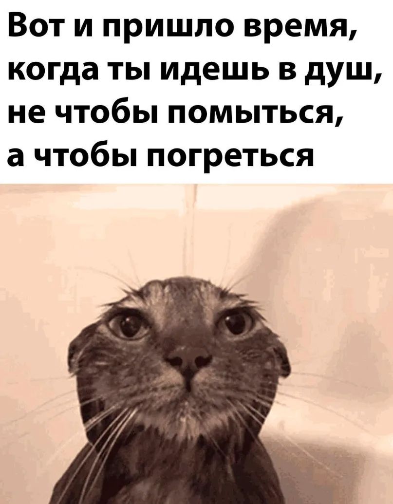Вот и пришло время, когда ты идешь в душ, не чтобы помыться, а чтобы погреться