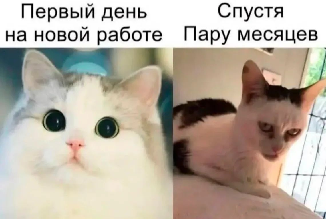 Первый день на новой работе Спустя Пару месяцев