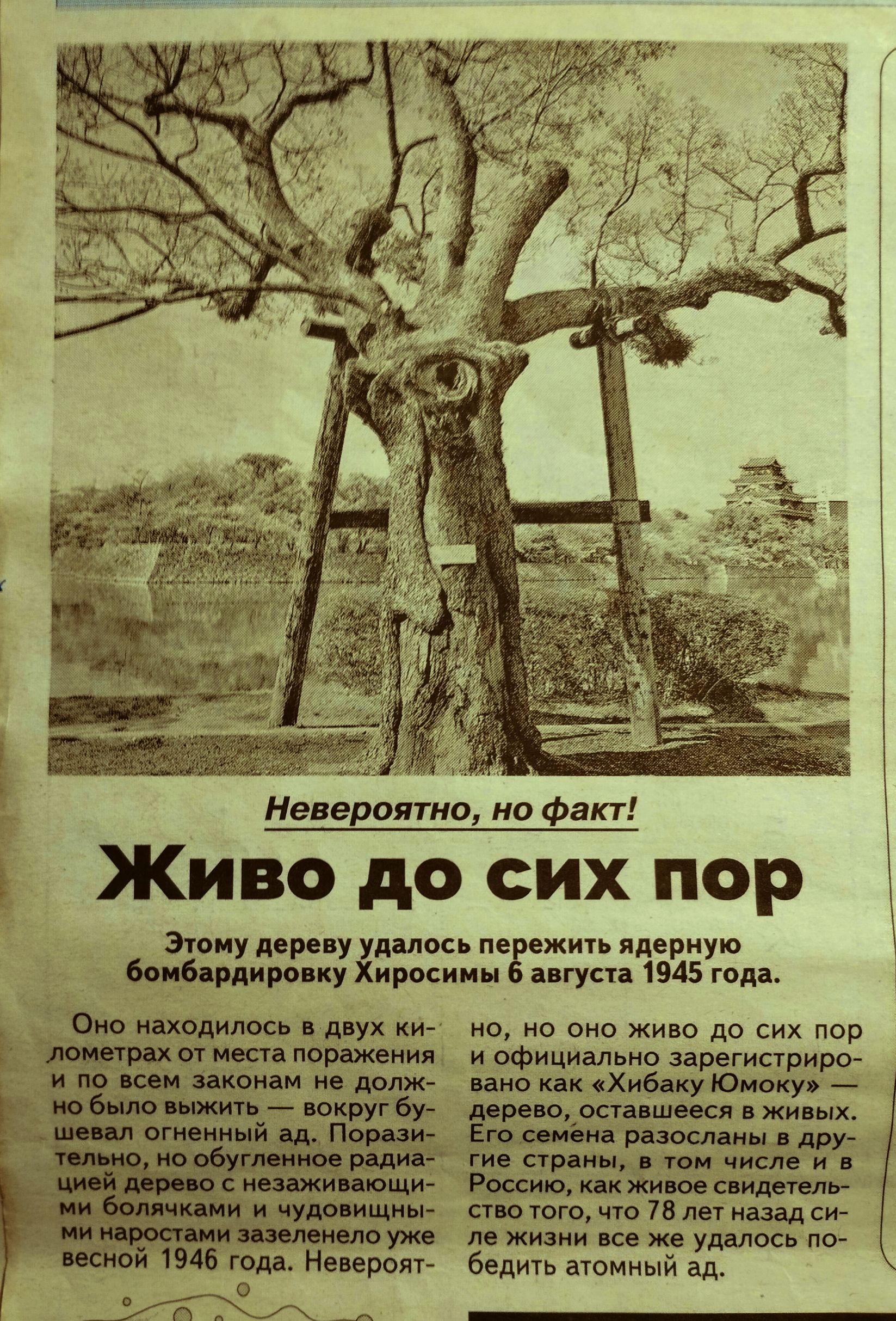 блики ку Она нашлось днк ки 91 иш юрты юр долж шпшуг Неневеятио но Факт Живо до сих пор м дереву пе ежип мерную ра у 195 пд ио но оио жи в до сих пор и официальио арегистриро ию ш сх ватку там антицикл лв жи же у дить аюмиый