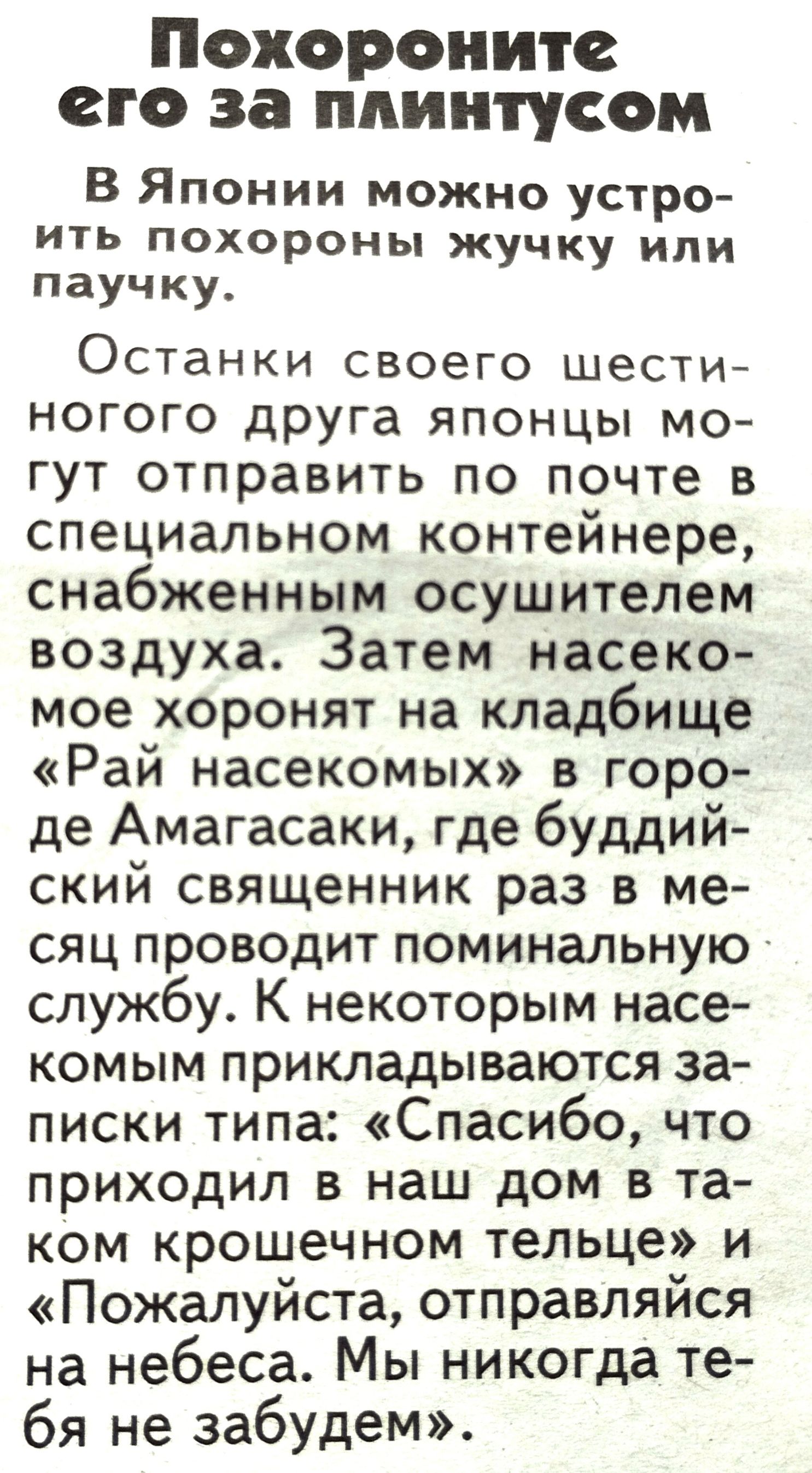 Похороните его за плинтусом В Японии можно устро ИТЬ похороны ЖУЧКУ ИЛИ паучку Останки своего шести ногого друга японцы мо гут отправить по почте в специальном контейнере снабженным осушителем воздуха Затем насеко мое хоронят на кладбище Рай насекомых в горо де Амагасаки где буддий ский священник раз в ме сяц проводит поминальную службу К некоторым насе комым прикладываются за писки типа Спасибо ч