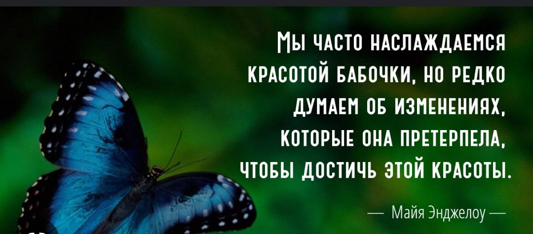 ПЫ ЧАСТ МАВПАЖЛАЕНВП КРАЕПШЙ БАБПЧКИ РЕДКП дУПАЕП ПБ ИЗНЕИЕИИПХ КШПРЫЕ ВМА ПРЕТЕРПЕПА __ЧШБН ЦППИЧЪ ЗШЙ КРАЕМЫ Майязиджеппуй