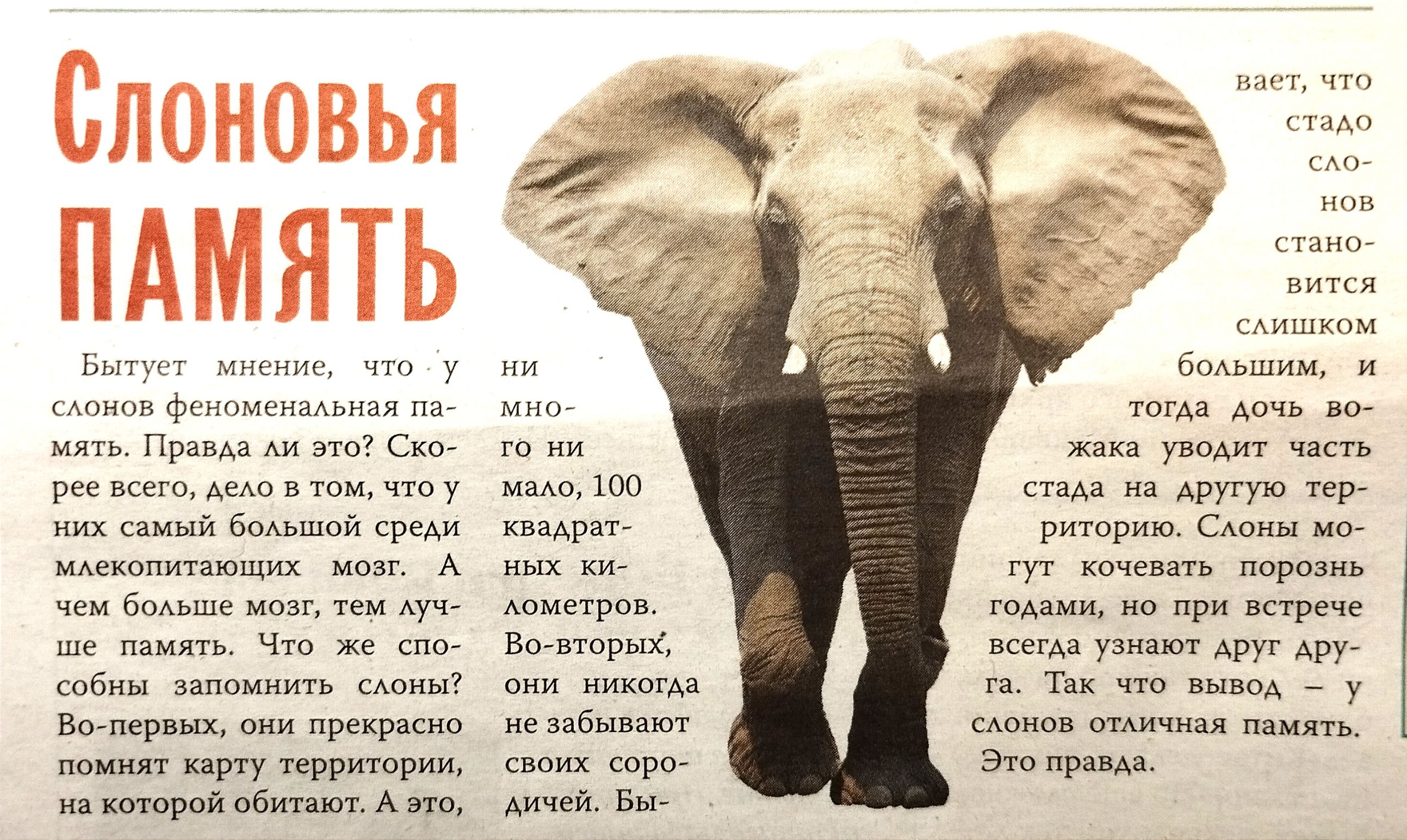 Слоновьн ПАМЯТЬ в ммквпиппших А ч в п п Веллер их р там шаров в А Арт с т с _ у или к в в