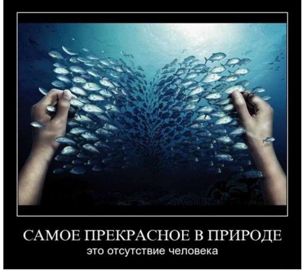 САМОЕ ПРЕКРАСНОЕ В ПРИРОДЕ это отсутствие человека