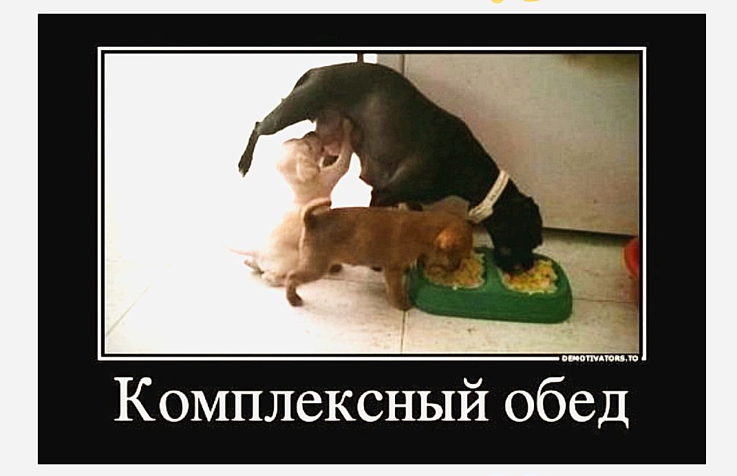 Комплексный обед