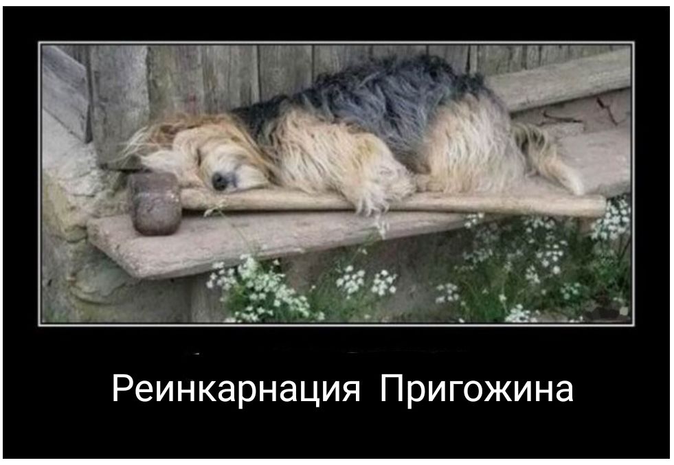 Реинкарнация Пригожина