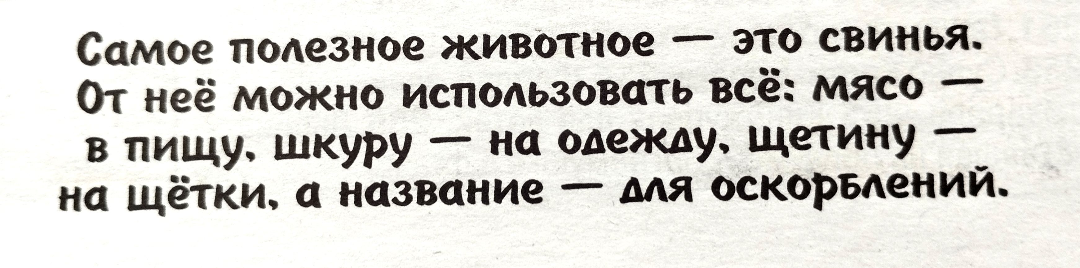 Самое полезное жившим это свинья 01 неё можно использова ть в в пищу шкуру на одежду щетину ип щётки название мя осквршиий