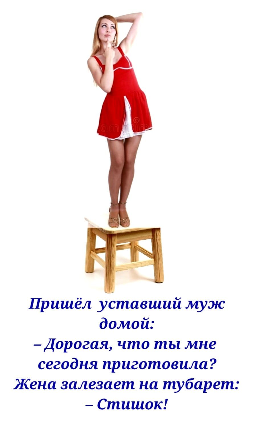 і Пришёл уставший муж домой Дорогая что ты мне сегодня приготовила Жена залезает на тубарет Стишок