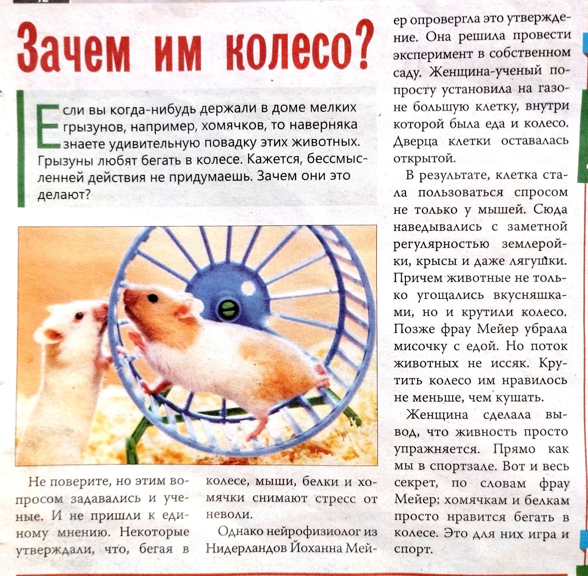 Зачем им колесо гркзуивъ вев хвмичюп мир Ем плющит маши идише мы удикимльиую п яку м мыша Кджвгщ бестг шаман приду чаи з вю делат ш и пришли пиврхшщ д Белки и Нммпмнйтизимш Нищипцаиилииммгц рипрппрмлзшуперщо м о и р и цу жи ты и до и к в к А ш щ Вркзуитік мне тр с ммм и ваши зимми и А Причем хищ пощмись ш и крути по Фрау угар иишчку и но м м ки и щ Женщин С щ упрпапы щ кщтщ с мр и и в тип э