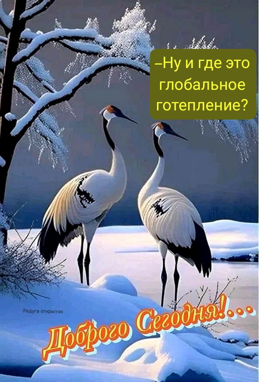 _ Ну и где это глобальное готепление