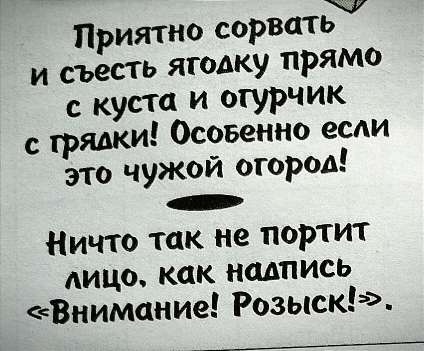 7 Приятно сорвать и съесть ягодку прямо куста и огурчик с грядки Осовенно если это чужой огород Ничто так не портит лицо как надпись Внимание Розыск