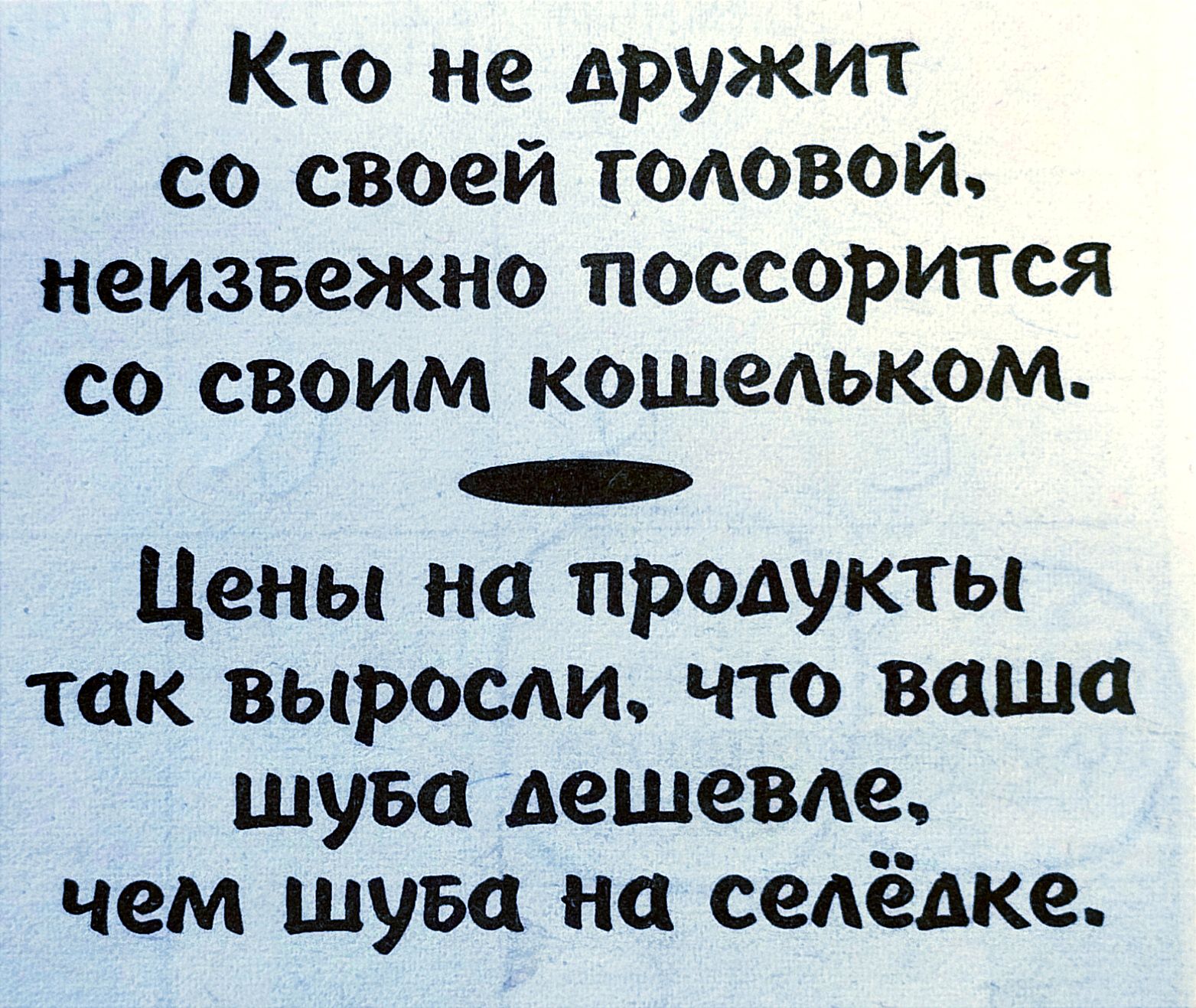 Кто не дружит со своей головой неизвежно поссорится со своим кошельком Цены на продукты так выросм что ваша шуба дешеВАе чем шуба на седёдке