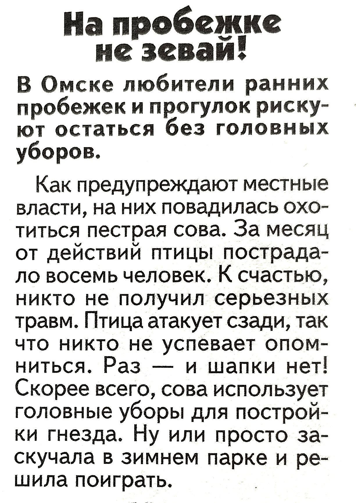 На пробежке не зеваи В Омске любители ранних пробежек и прогулок риску ют остаться без головных уборов Как предупреждают местные власти на них повадилась охо титься пестрая сова За месяц от действий птицы пострада ло восемь человек К счастью никто не получил серьезных травм Птица атакует сзади так что никто не успевает опом ниться Раз и шапки нет Скорее всего сова использует головные уборы для пос