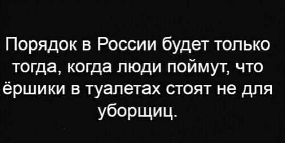 Порядок в России будет только тогда когда люди поймут что ёршики в туалетах стоят не для уборщиц