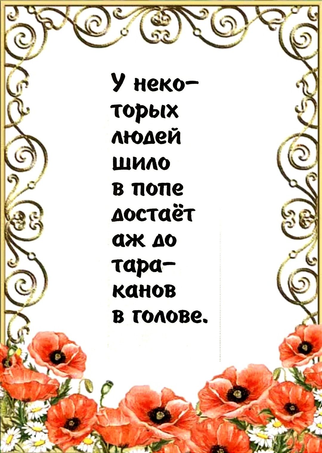 торых молей шило в попе достаёт аж А0 тара капов в голове