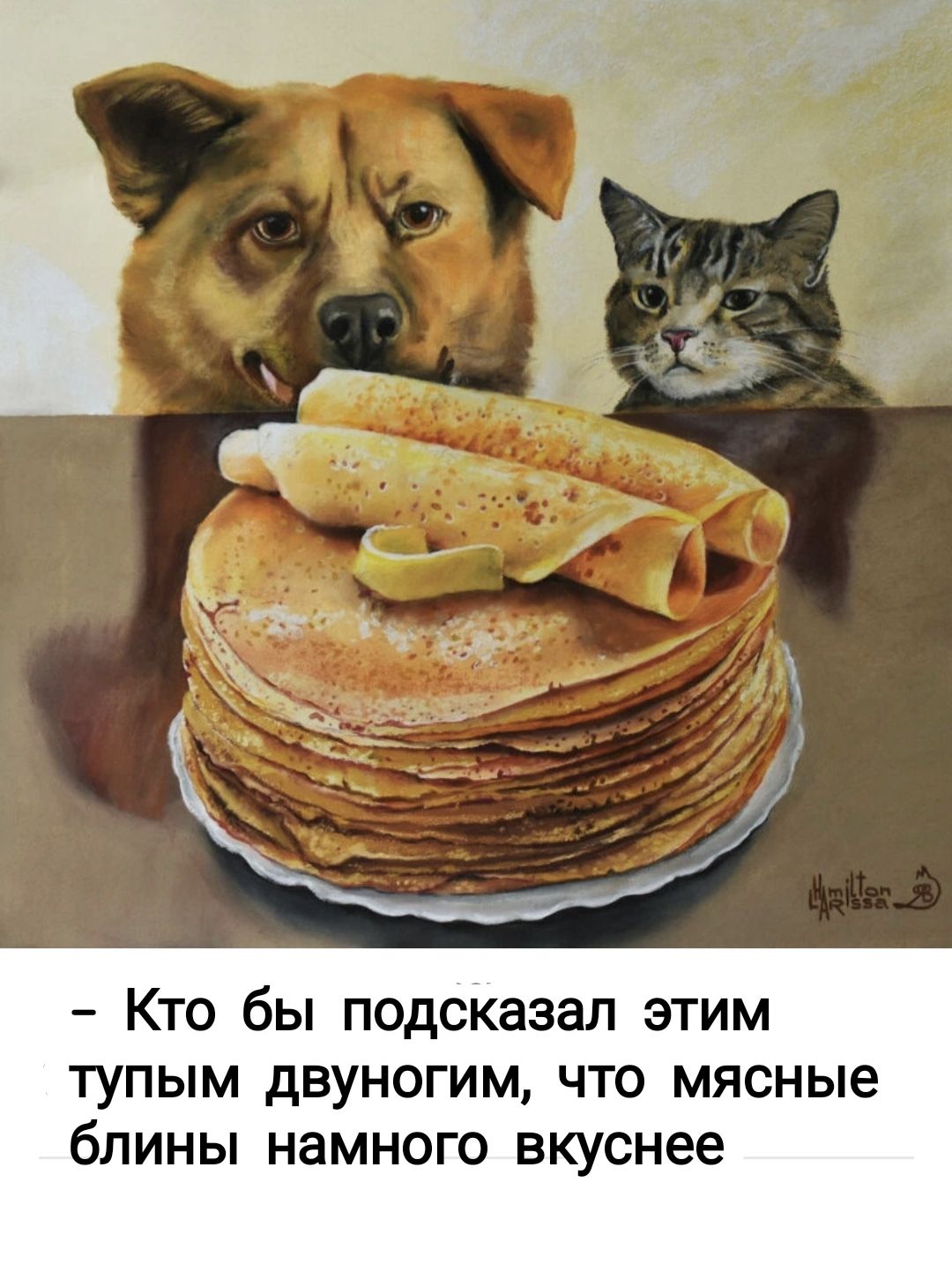 Кто бы подсказал этим тупым двуногим что мясные блины намного вкуснее