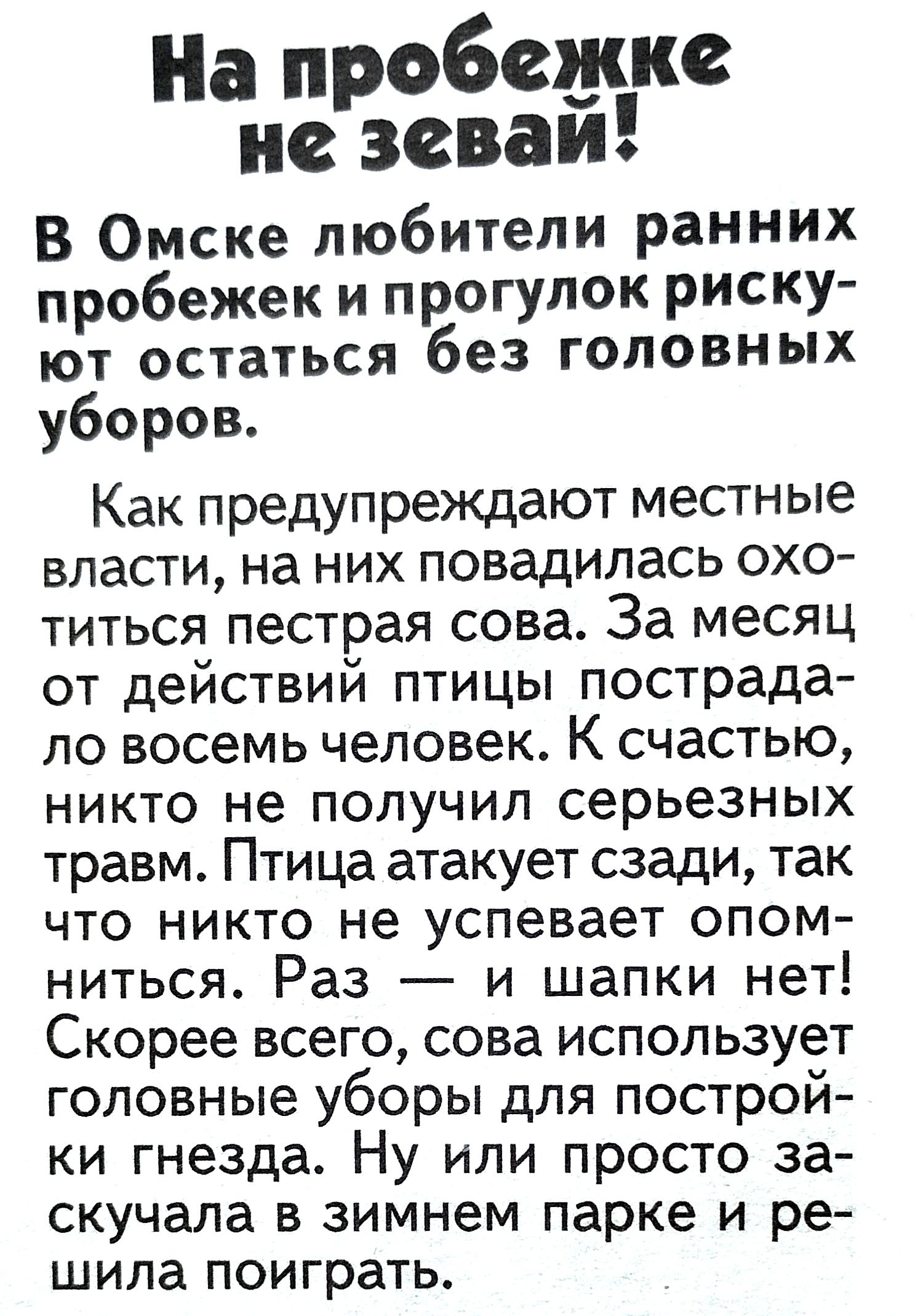 На пробелы не зеваи В Омске любители ранних пробежек и прогулок риску ют остаться без головных уборов Как предупреждают местные власти на них повадилась охо титься пестрая сова За месяц от действий птицы пострада ло восемь человек К счастью никто не получил серьезных травм Птица атакует сзади так что никто не успевает опом ниться Раз и шапки нет Скорее всего сова использует головные уборы для пост