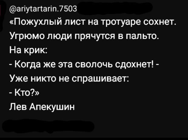 апутапагіпібоз Пожухл ый лист на тротуаре сохнет Угрюмо люди прячутся в пальти На крик Когда же эта сволочь сдохнет Уже никто не спрашивает Кто Лев Апекушин