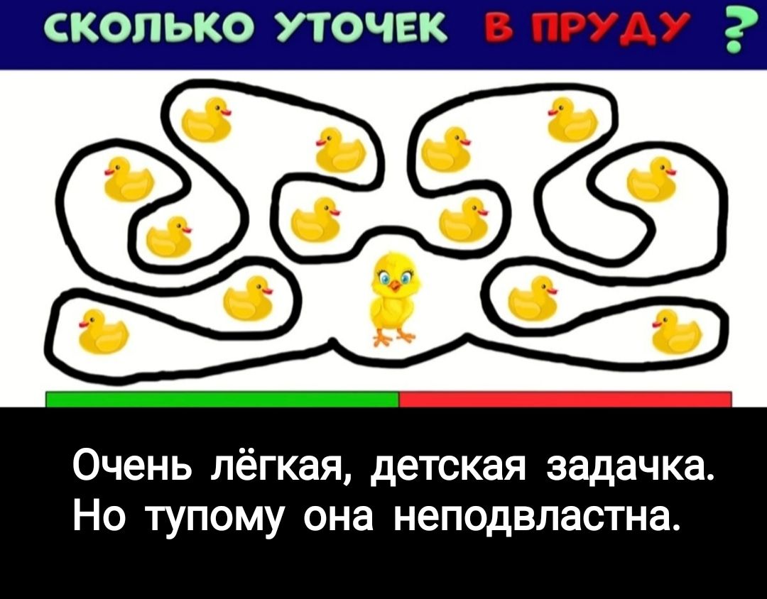 СКОЛЬКО УТОЧЕК Очень лёгкая детская задачка Но тупому она неподвпастна Ч