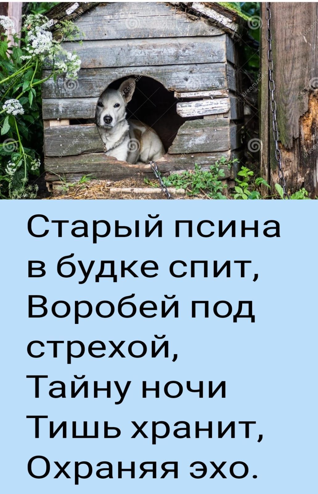 Старый псина в будке спит Воробей под стрехой Тайну ночи Тишь хранит Охраняя эхо