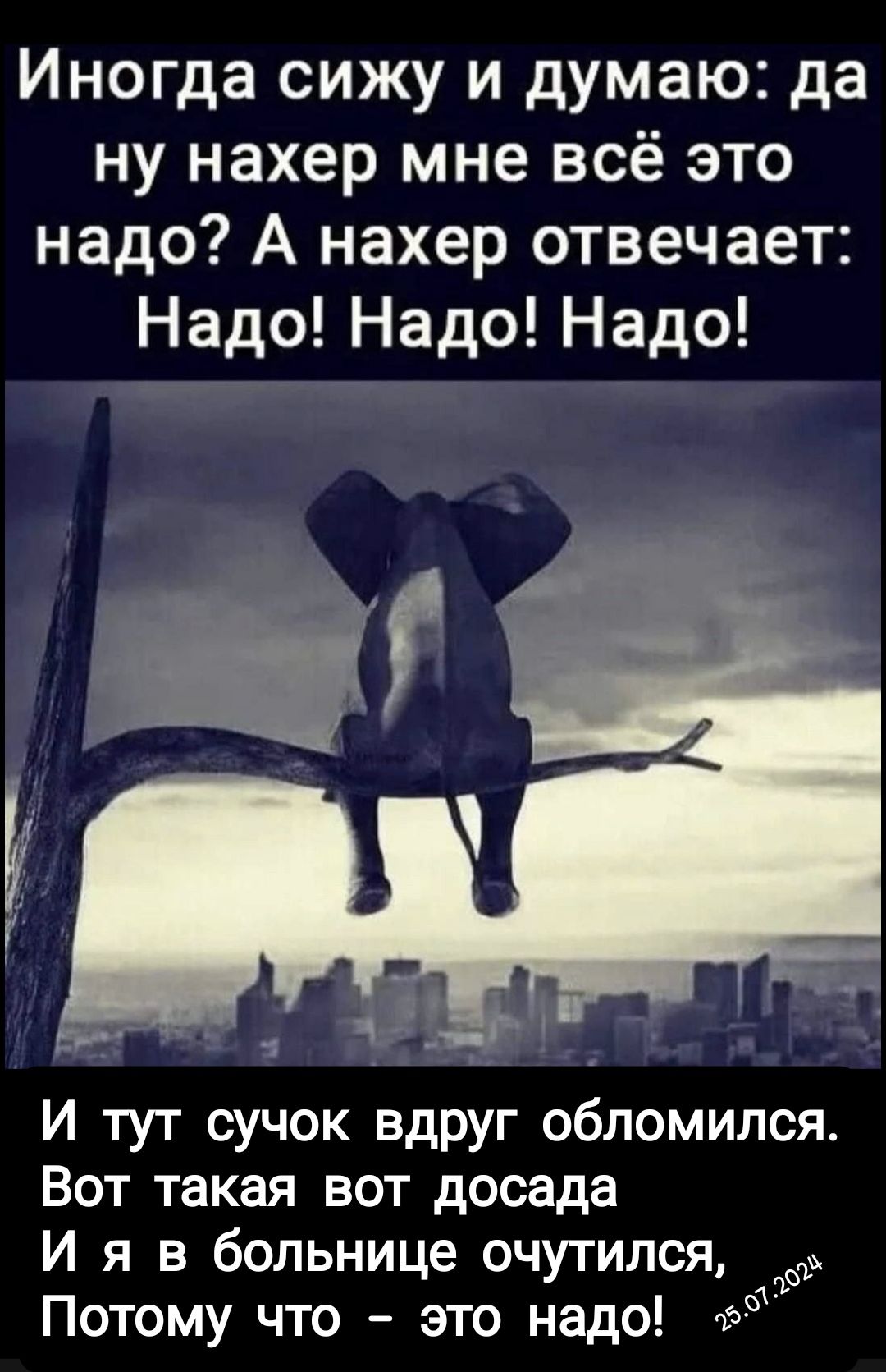 Иногда сижу и думаю да ну нахер мне всё это надо А нахер отвечает Надо Надо Надо м7 И тут сучок вдруг обломился Вот такая вот досада И я в больнице очутился Потому что это надо