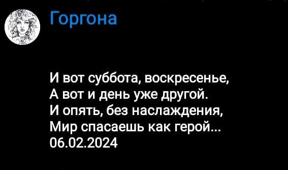 Горгона И вот суббота воскресенье А вы и день уже другой И опять без наслаждения Мир спасаешь как герой 06022024