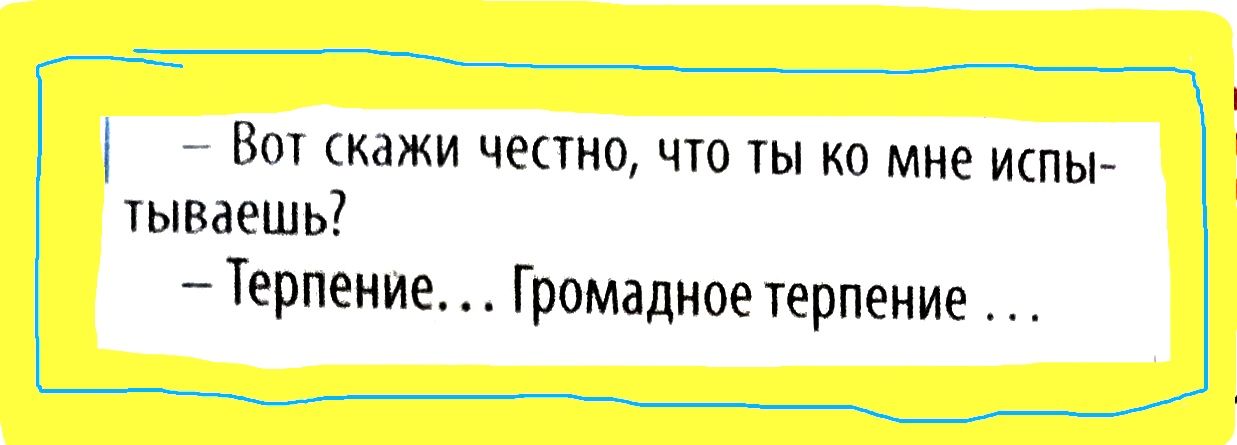 Вст скажи честно что ты ко мне испы тываешь Терпение Громадное терпение