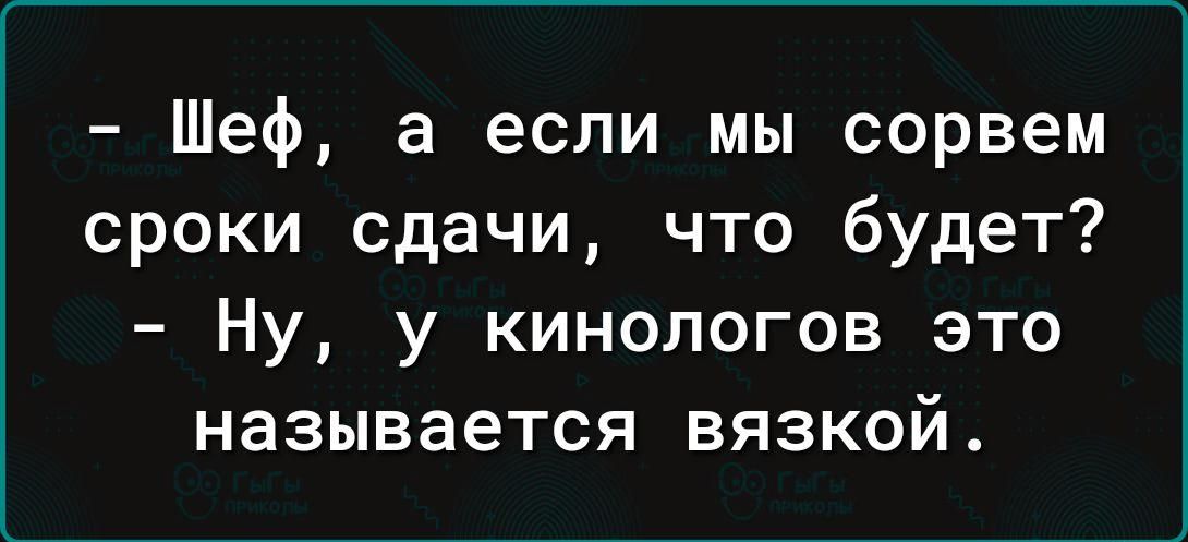 Шеф а если мы сорвем сроки сдачи что будет Ну у кинологов это называется вязкой