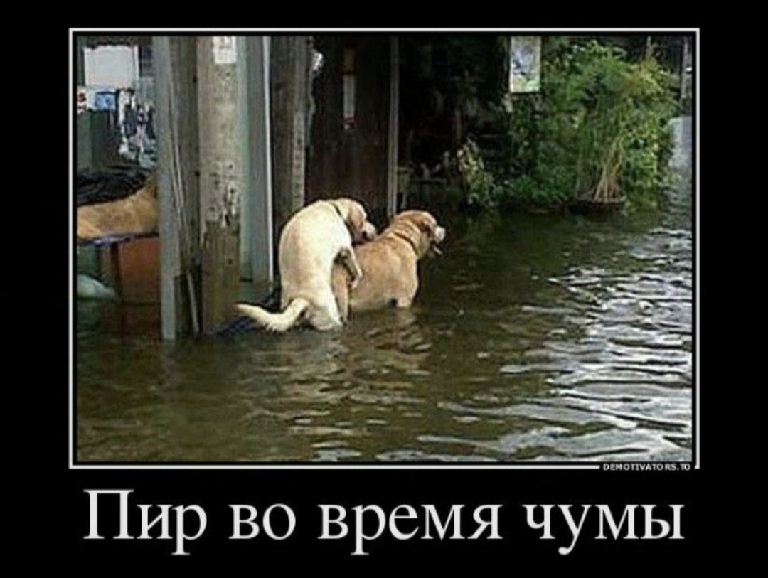 Пир вб время чу11Ы