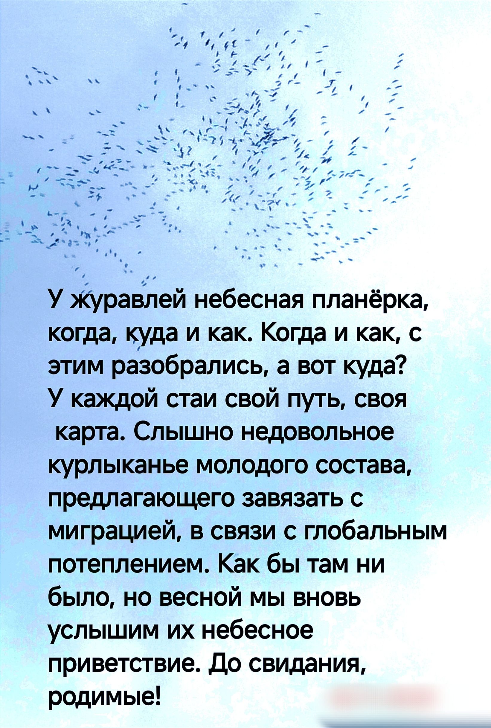 У ЙуравЪей небесная планёрка когда куда и как Когда и как с этим разобрались а вот куда У каждой стаи свой путь своя карта Слышно недовольное курлыканье молодого состава предлагающего завязать с миграцией в связи с глобальным потеплением Как бы там ни было но весной мы вновь услышим их небесное приветствие До свидания родимые