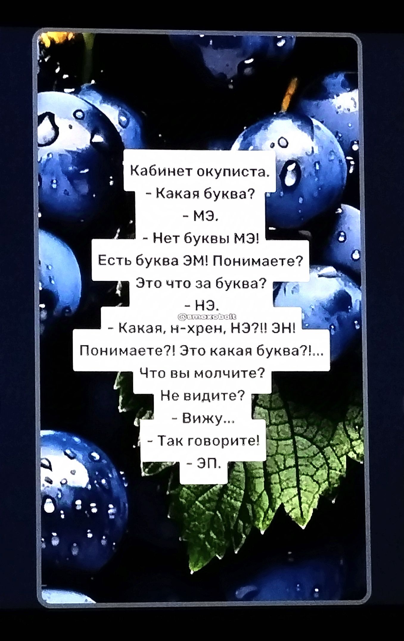 Кабинет окуписта Какая буква ц мЭ Нет буквы МЭ Есть буква ЭМ Понимаете Это что за буква нЭ Какая н хрен НЭ ЭН Понимаете Это какая буква7 Что вы молчит Не видите Вижу Так говорите Эп