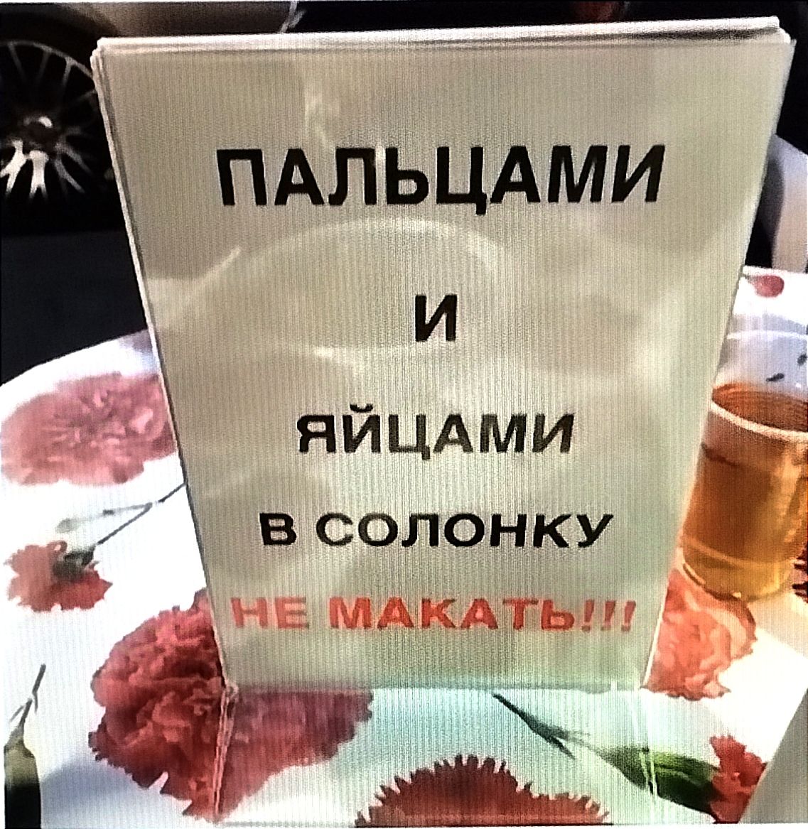 ЯЙЦАМИ Ц Э В СОЛОНКУ