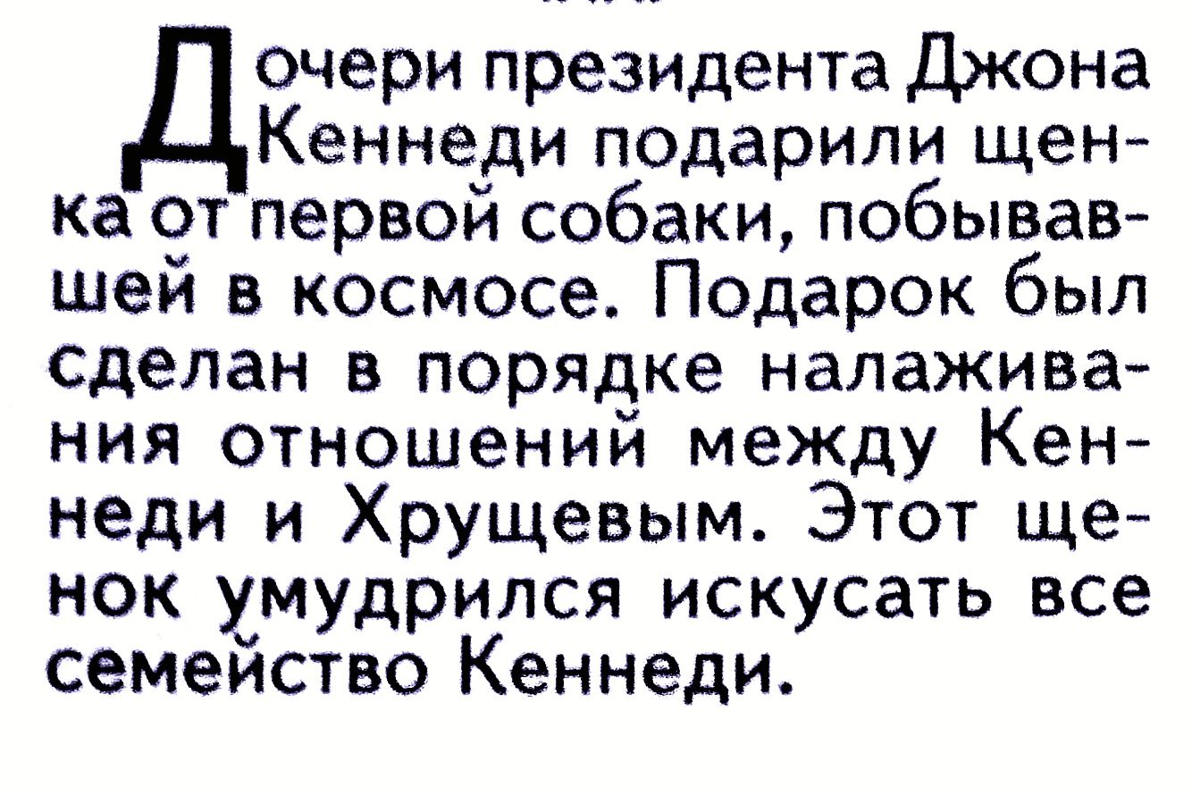 Дочери президента Джона Кеннеди подарили щенка от первой собаки, побывавшей в космосе. Подарок был сделан в порядке налаживания отношений между Кеннеди и Хрущевым. Этот щенок умудрился искусить все семейство Кеннеди.