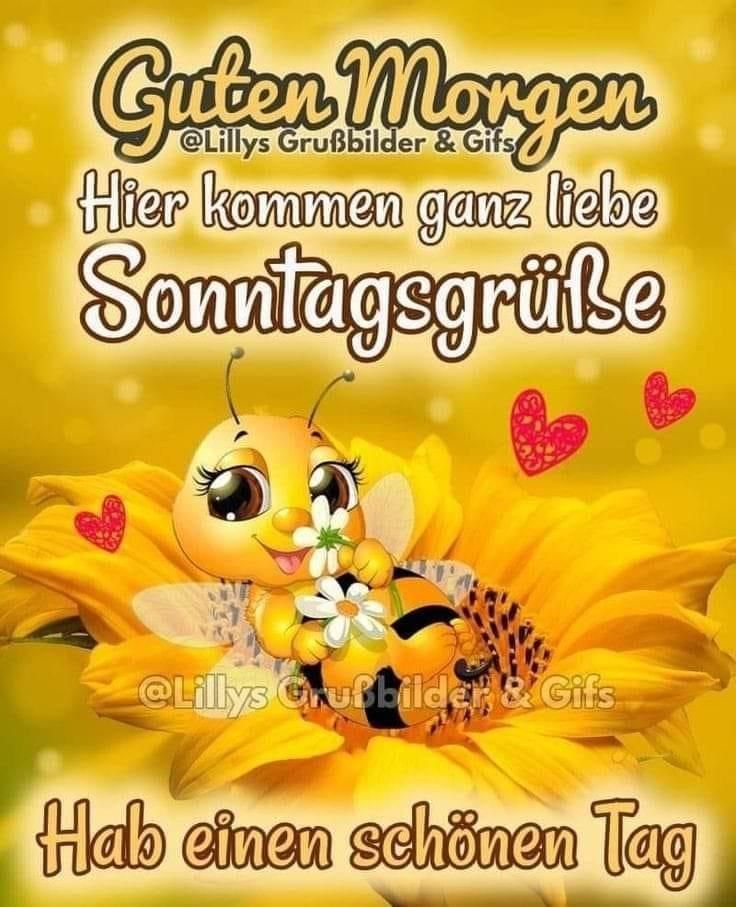 Guten Morgen
Hier kommen ganz liebe
Sonntagsgrüße
Hab einen schönen Tag