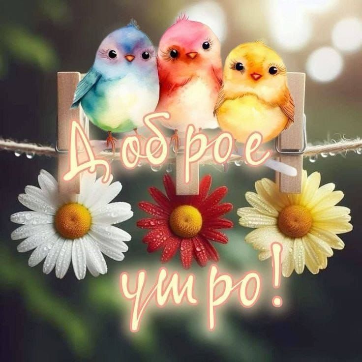 Доброе утро!