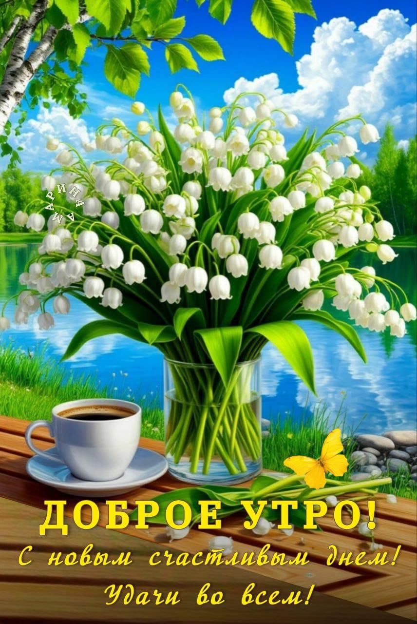 ДОБРОЕ УТРО! С новым счастливым днем! Удачи во всем!