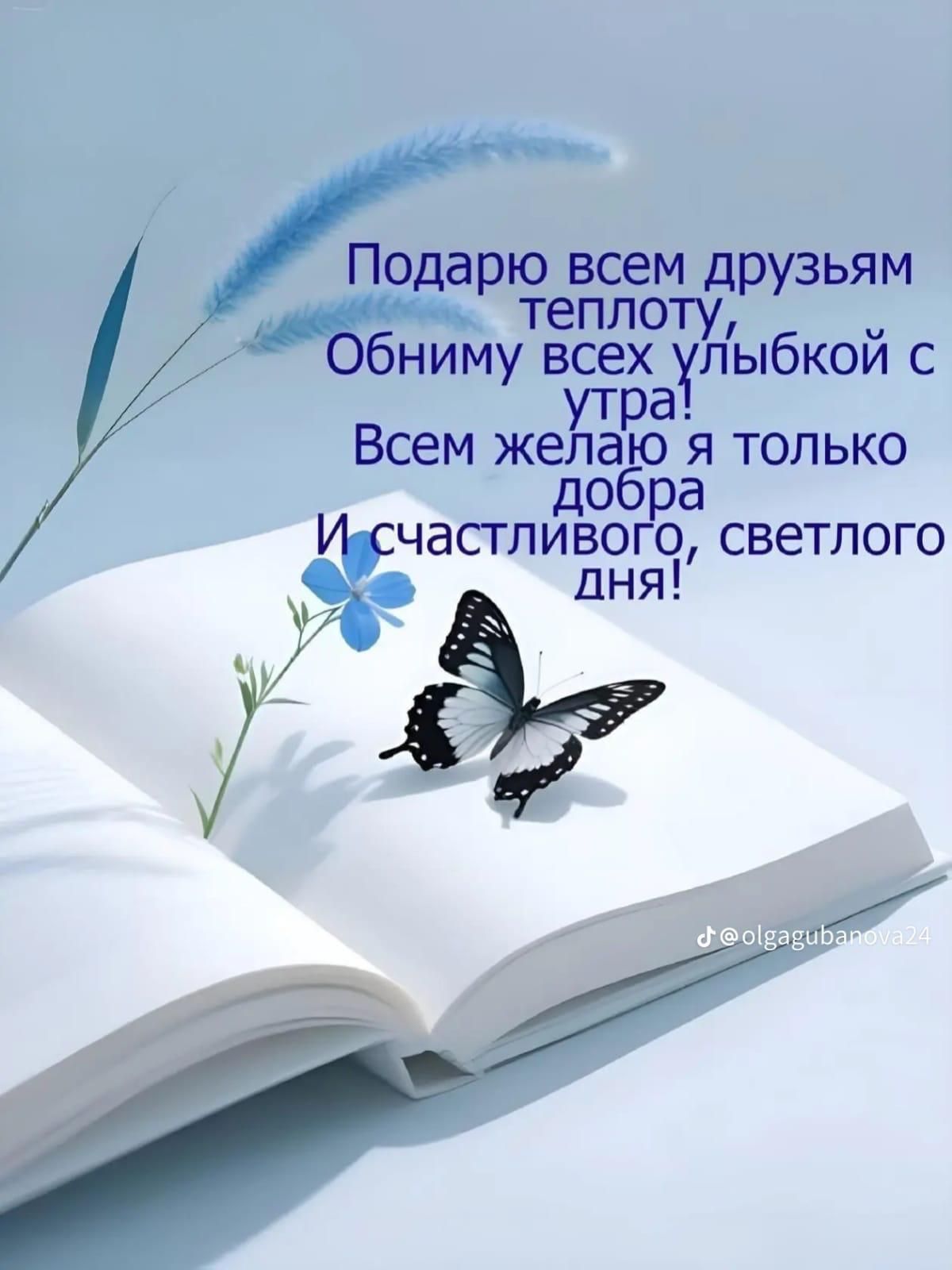 Подарю всем друзьям теплоту, Обниму всех улыбкой с утра! Всем желаю я только добра И счастливого, светлого дня!