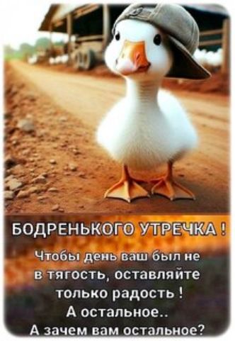 БОДРЕНЬКОГО УТРЕЧКА ! Чтобы день ваш был не в тягость, оставляйте только радость ! А остальное.. А зачем вам остальное?