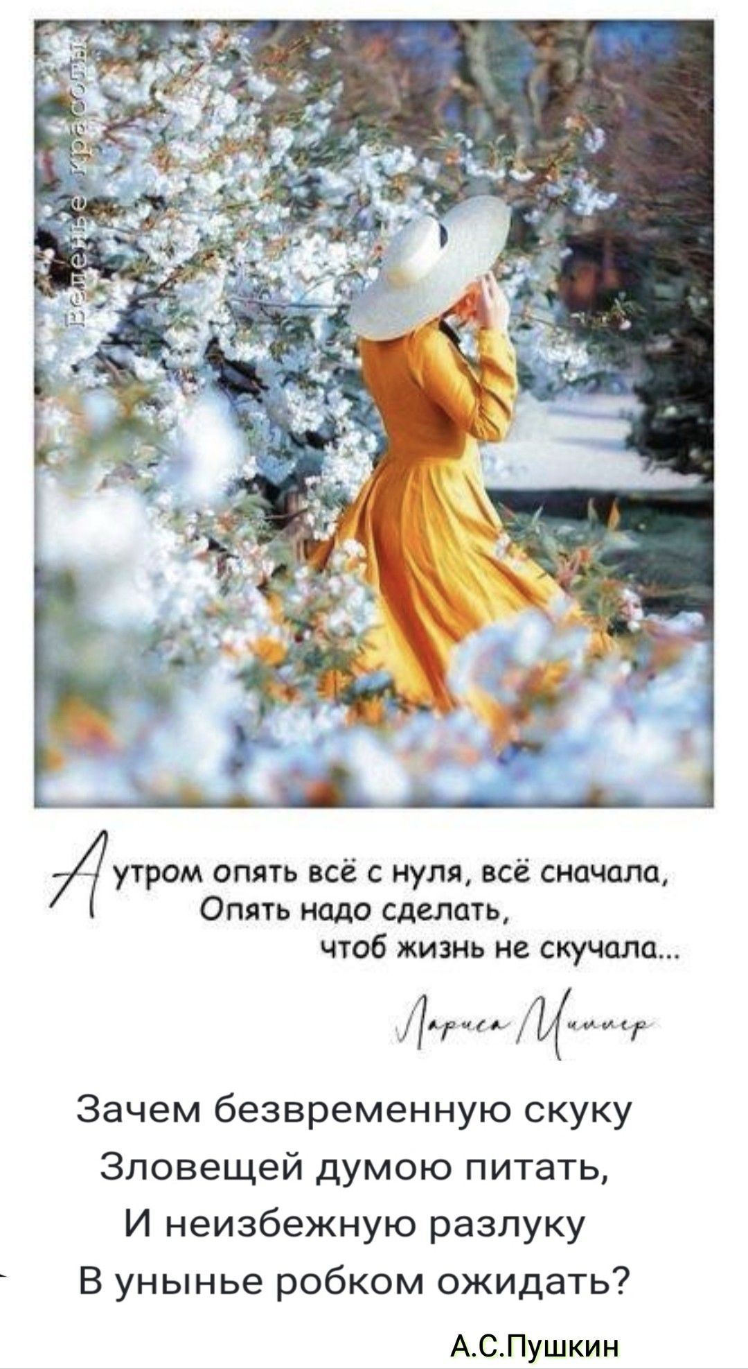А утром опять всё с нуля, всё сначала, Опять надо сделать, чтоб жизнь не скучала...

Зачем безвременную скуку Зловещей думою питать,
И неизбежную разлуку В унынье робком ожидать?

А.С. Пушкин