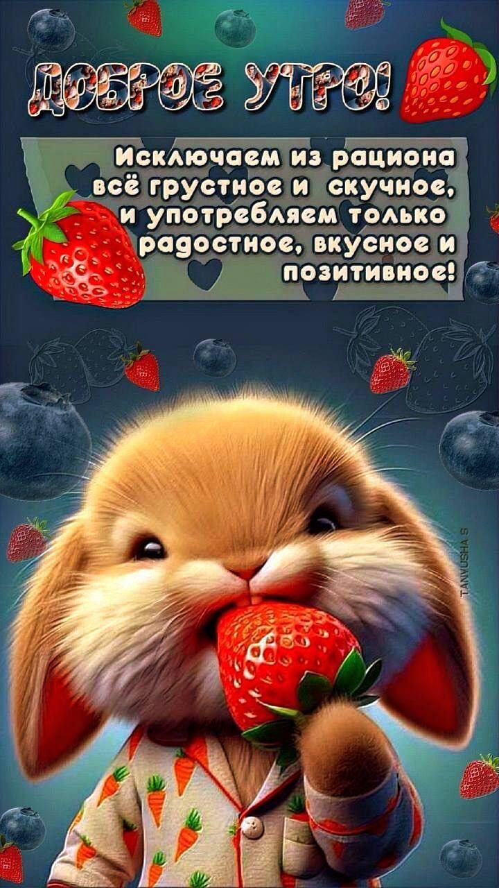 Доброе утро! Исключаем из рациона всё грустное и скучное, и употребляем только радостное, вкусное и позитивное!